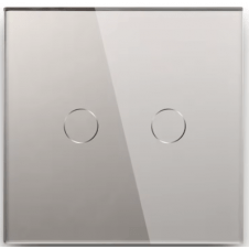 MARCO 2 INTERRUPTORES PLATA 86X86MM