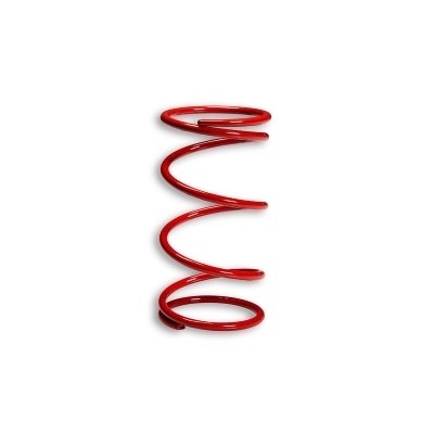 MALOSSI Racing Compression Spring 2916498.R0