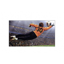 49VL5G-M 49LED IPS 1920X1080 LFD