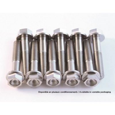 SCAR Titanium Screw Kit M6x15 By 2 STIM6X15-02