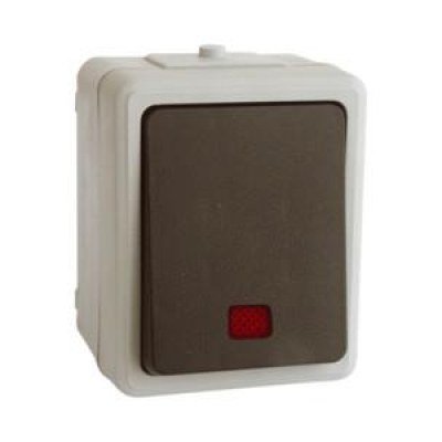 Conmutador Luminoso Superficie Estanco IP54