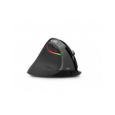 RATON ERGONOMICO WIRELESS WRLS
