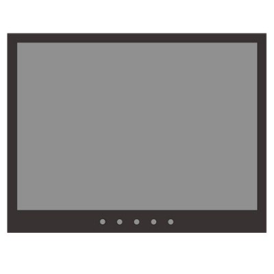Monitor CCTV 10 VGA/HDMI/BNC SAFIRE