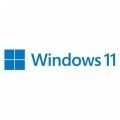 Microsoft Windows 11 Pro OEM 1 licencia