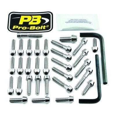 Kit carenado para Yamaha PRO BOLT EYA283SS