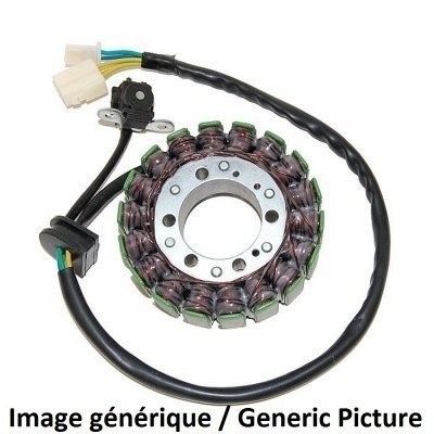 STATOR Suzuki GSX650F ESG088