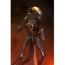 Ultimate scorched xenomorph scale action fig. 23 cm alien: romulus