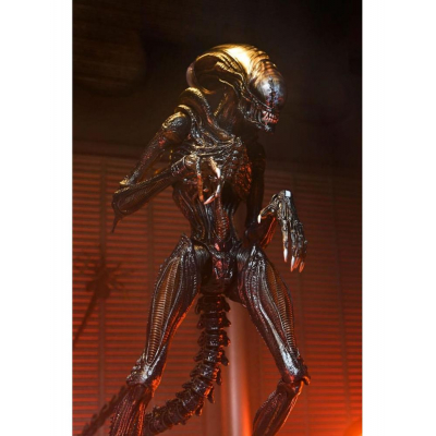 Ultimate scorched xenomorph scale action fig. 23 cm alien: romulus