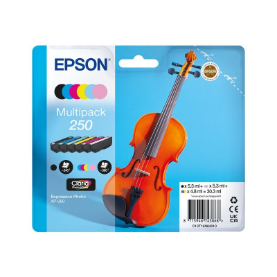 Epson 250 Pack de 6 Cartuchos de Tinta Originales - C13T16N84010