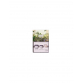 Payot Supreme Jeunesse Le Jour 50ml Set