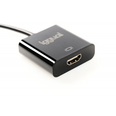 IGG318041 adaptador de cable de vídeo 0,25 m DisplayPort HDMI Negro