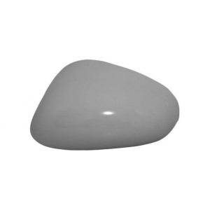 Carcasa de retrovisor derecho SEAT Leon II (05->09) 41854322