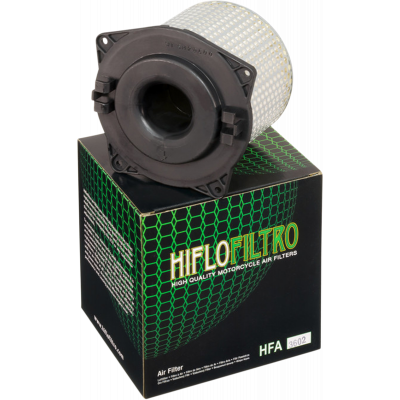 Filtro de aire de recambio OEM HIFLOFILTRO HFA3602