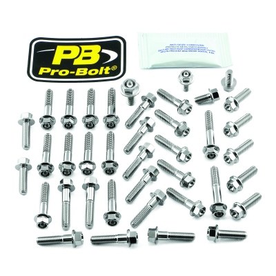 Kit carenado para Yamaha PRO BOLT EYA407SSHX