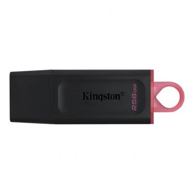 Kingston Technology DataTraveler Exodia unidad flash USB 256 GB USB tipo A 3.2 Gen 1 (3.1 Gen 1) Negro