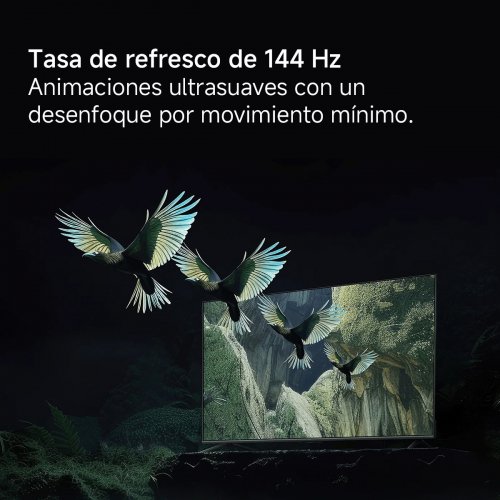 Imagen adicional del producto