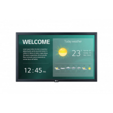 22SM3G 22IN LED IPS 1920X1080 LFD