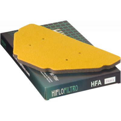 Filtro de aire de recambio OEM HIFLOFILTRO HFA2603