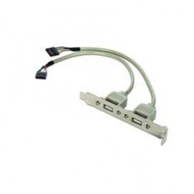 Adaptador de cable ccusbreceptacle 10 pines - usb 2.0 x2 - 0.25m