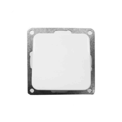 Interruptor empotrar serie term (envasado)