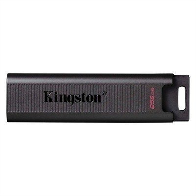 Memoria usb 3.2 gen 2 kingston 256gb datatraveler max