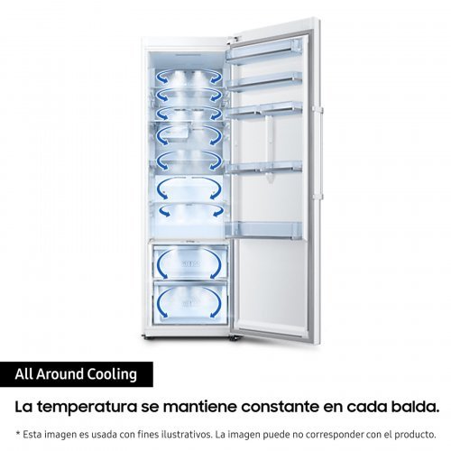 Imagen adicional del producto