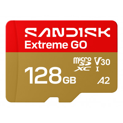 Extreme GO 128 GB MicroSDXC UHS-I