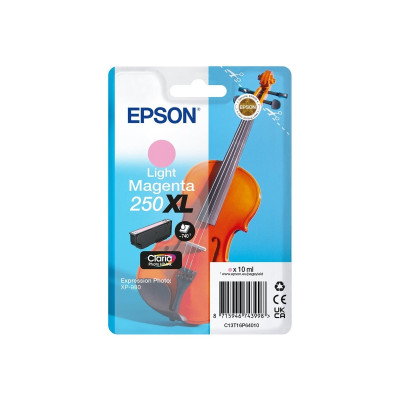 Epson 250XL Negro Cartucho de Tinta Original - C13T16P14010