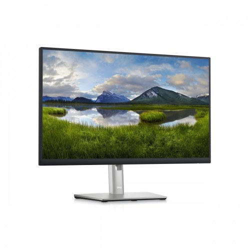 Monitor DELL-P2423D 23,8''