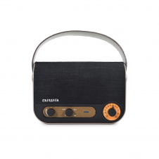 Aiwa RBTU-600 altavoz portátil o de fiesta Altavoz monofónico portátil Beige, Negro 5 W