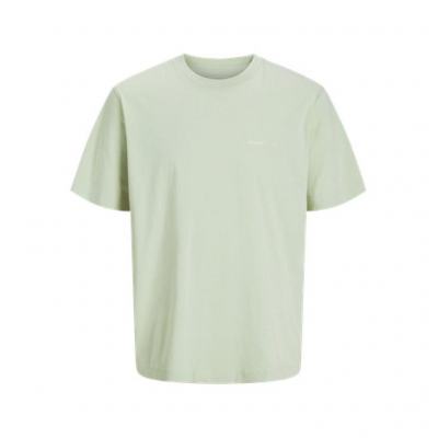 Camiseta JACK & JONES JORVARENNA PAINTED BACK TEE SS CRE NECK 12273646 Verde Verde