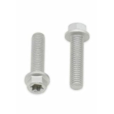 Tornillos con cabeza hexagonal/Torx BOLT M6 x 1,00 x 25mm 024-60625