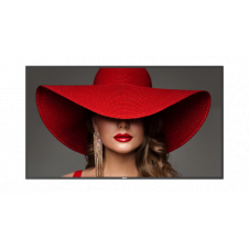 Philips 65BDL4650D Pantalla plana para señalización digital 165,1 cm (65