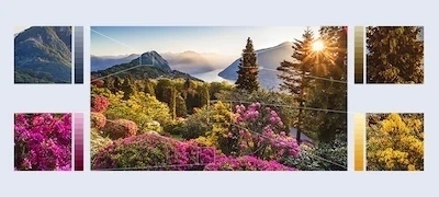 Imágenes de flores de montaña ultradetalladas con Object-based HDR remaster