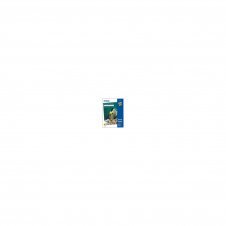 Papel Epson Matte Paper Heavy Weight, DIN A3+, 167 g/m², 50 hojas C13S041264