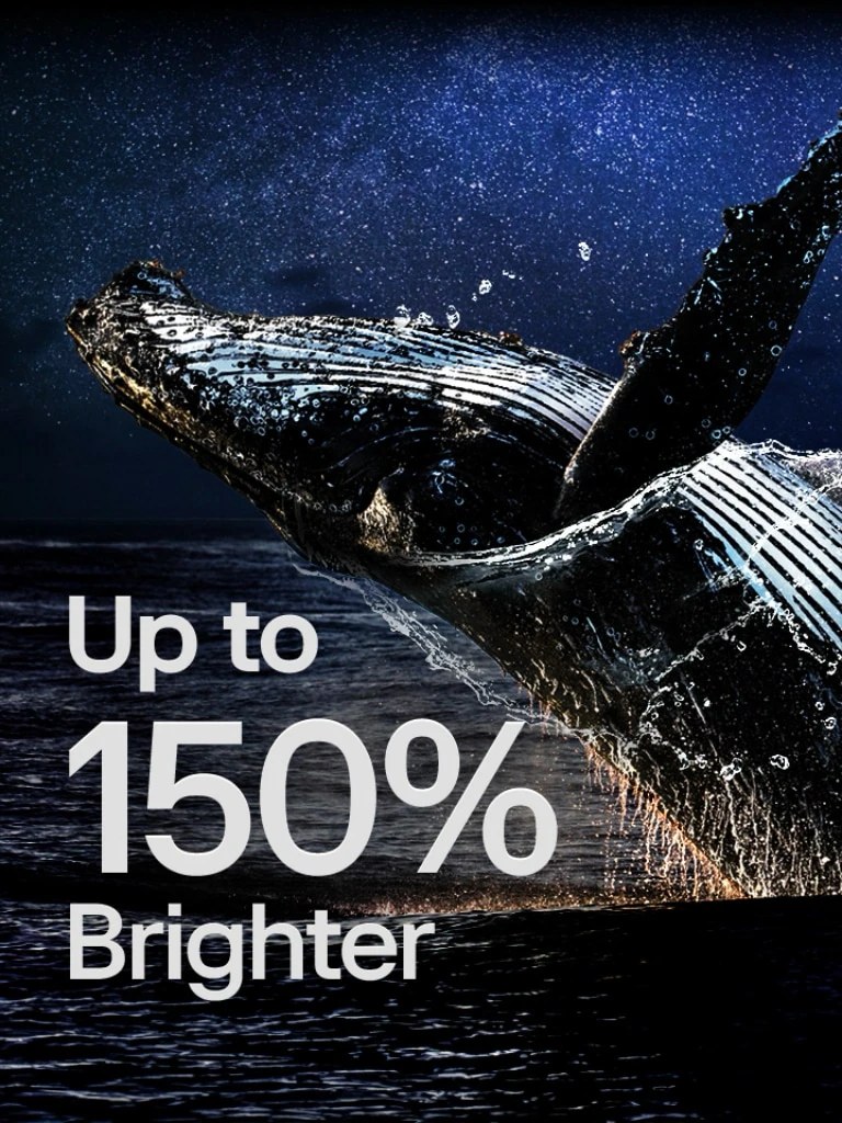 Una ballena salta fuera del océano sobre un fondo negro. Sobre la ballena aparecen las palabras "up to 150% brighter" (hasta un 150% más brillante) y se vuelven más brillantes.