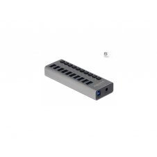 DeLOCK 63670 hub de interfaz USB 3.2 Gen 1 (3.1 Gen 1) Type-B 5000 Mbit/s Gris