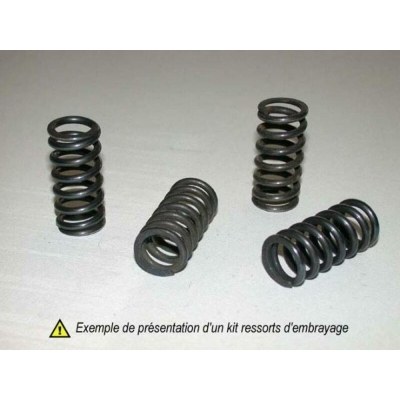 Kit de muelles de embrague RM250 '76-85 GSX750E '80-86 HSP-305-6 HSP-305-6