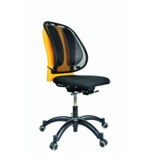 Fellowes Coj?n Lumbar Mesh Office Suites