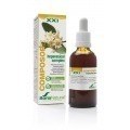 Soria Composor 3 Hepavesical Complex S Xxi 50ml