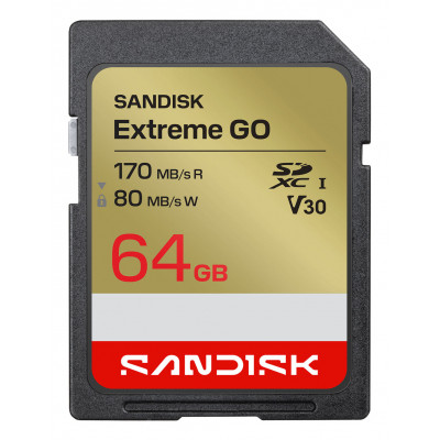 Extreme GO 64 GB SDXC UHS-I
