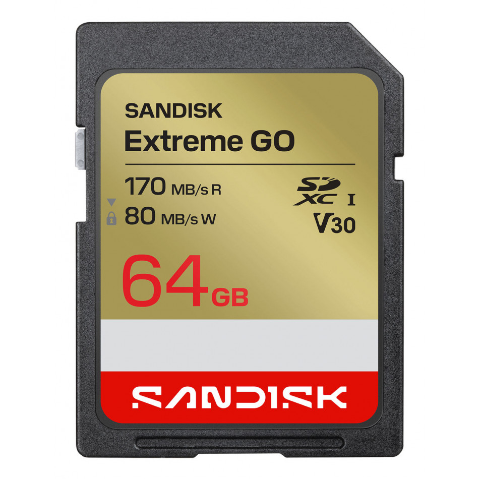 Extreme GO 64 GB SDXC UHS-I