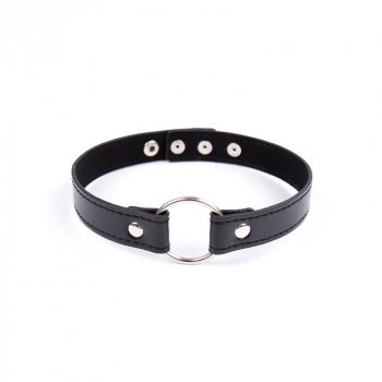 Collar con Aro Ajustable 38,2 cm Negro