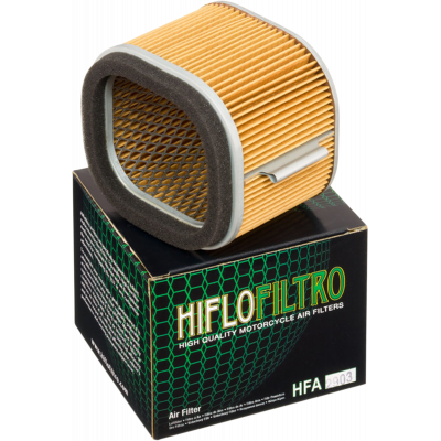 Filtro de aire de recambio OEM HIFLOFILTRO HFA2903