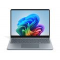vista 1