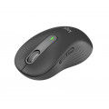 vista 6