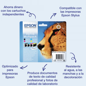 Epson Cartucho T0711 Negro