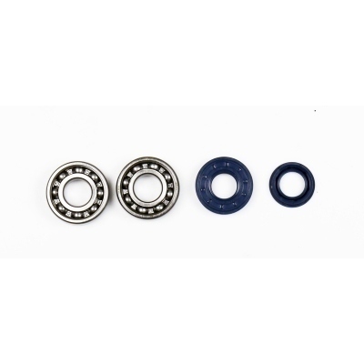 ATHENA Crankshaft Bearing & Oil Seal Kit P400130444001