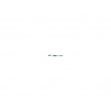 BIC Atlantis Stick Azul 12 pieza(s)