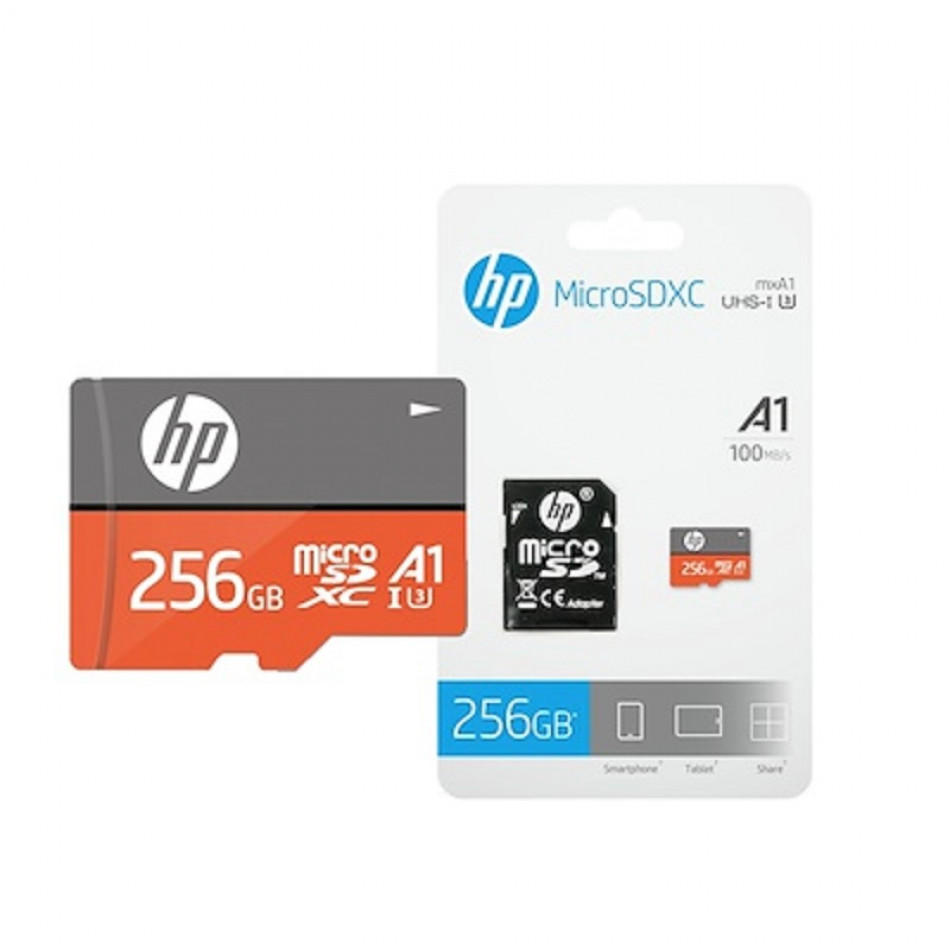 HFUD256-1V31A memoria flash 256 GB MicroSDXC UHS-I Clase 10
